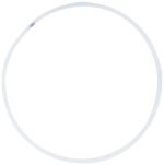 Rodeo Hoop