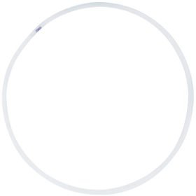Rodeo Hoop